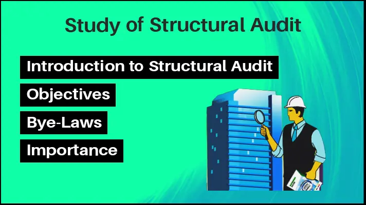 Structural Audit Objectives importance