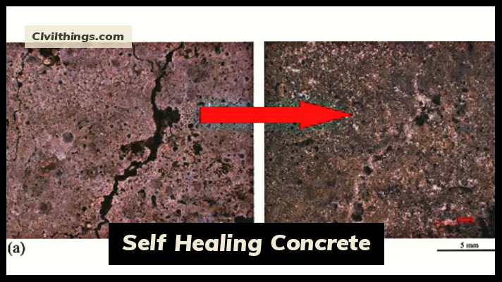 Self Healing Concrete
